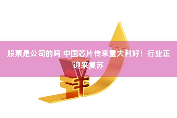 股票是公司的吗 中国芯片传来重大利好！行业正迎来复苏