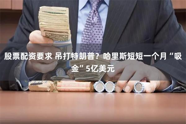 股票配资要求 吊打特朗普？哈里斯短短一个月“吸金”5亿美元