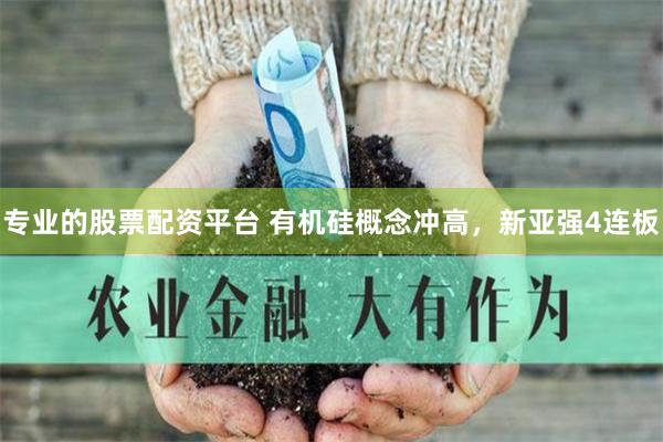 专业的股票配资平台 有机硅概念冲高，新亚强4连板
