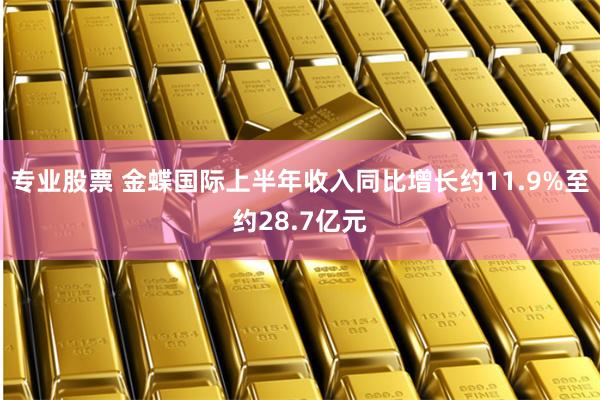 专业股票 金蝶国际上半年收入同比增长约11.9%至约28.7亿元