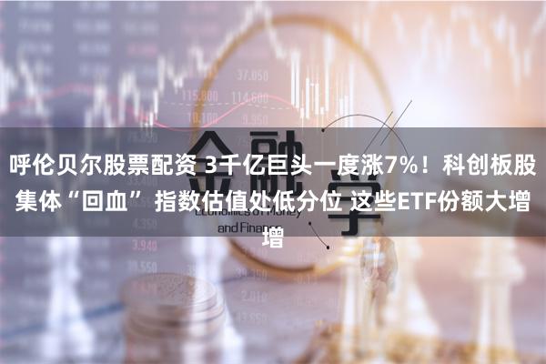 呼伦贝尔股票配资 3千亿巨头一度涨7%！科创板股集体“回血” 指数估值处低分位 这些ETF份额大增