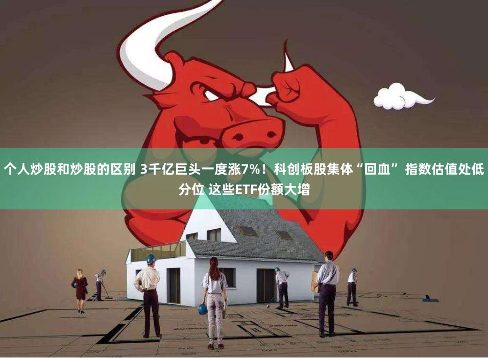 个人炒股和炒股的区别 3千亿巨头一度涨7%！科创板股集体“回血” 指数估值处低分位 这些ETF份额大增