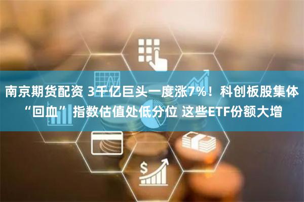 南京期货配资 3千亿巨头一度涨7%！科创板股集体“回血” 指数估值处低分位 这些ETF份额大增
