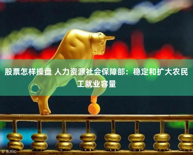 股票怎样操盘 人力资源社会保障部：稳定和扩大农民工就业容量