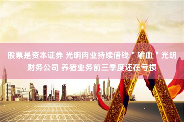 股票是资本证券 光明肉业持续借钱＂输血＂光明财务公司 养猪业务前三季度还在亏损