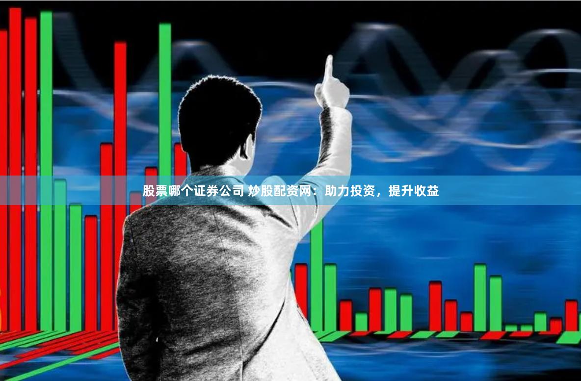 股票哪个证券公司 炒股配资网：助力投资，提升收益